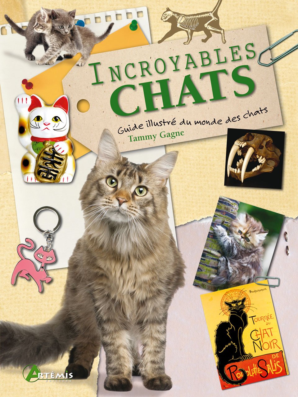 Incroyables chats: Un recueil d'anecdotes félines Books