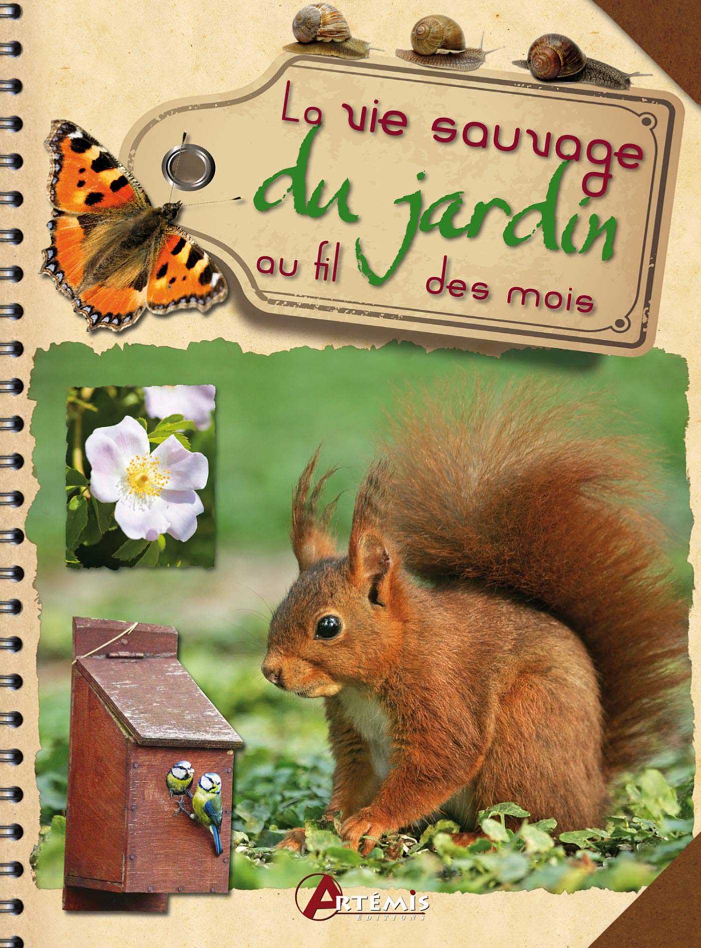La vie sauvage du jardin au fil des saisons Leisure, Home & Garden