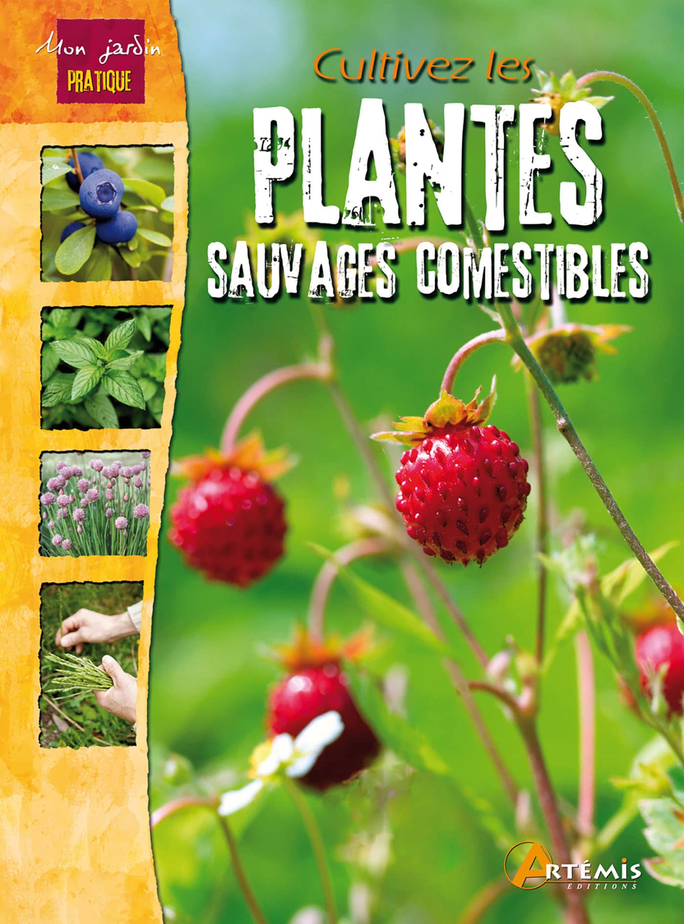 Cultivez les plantes sauvages comestibles Garden & Plants