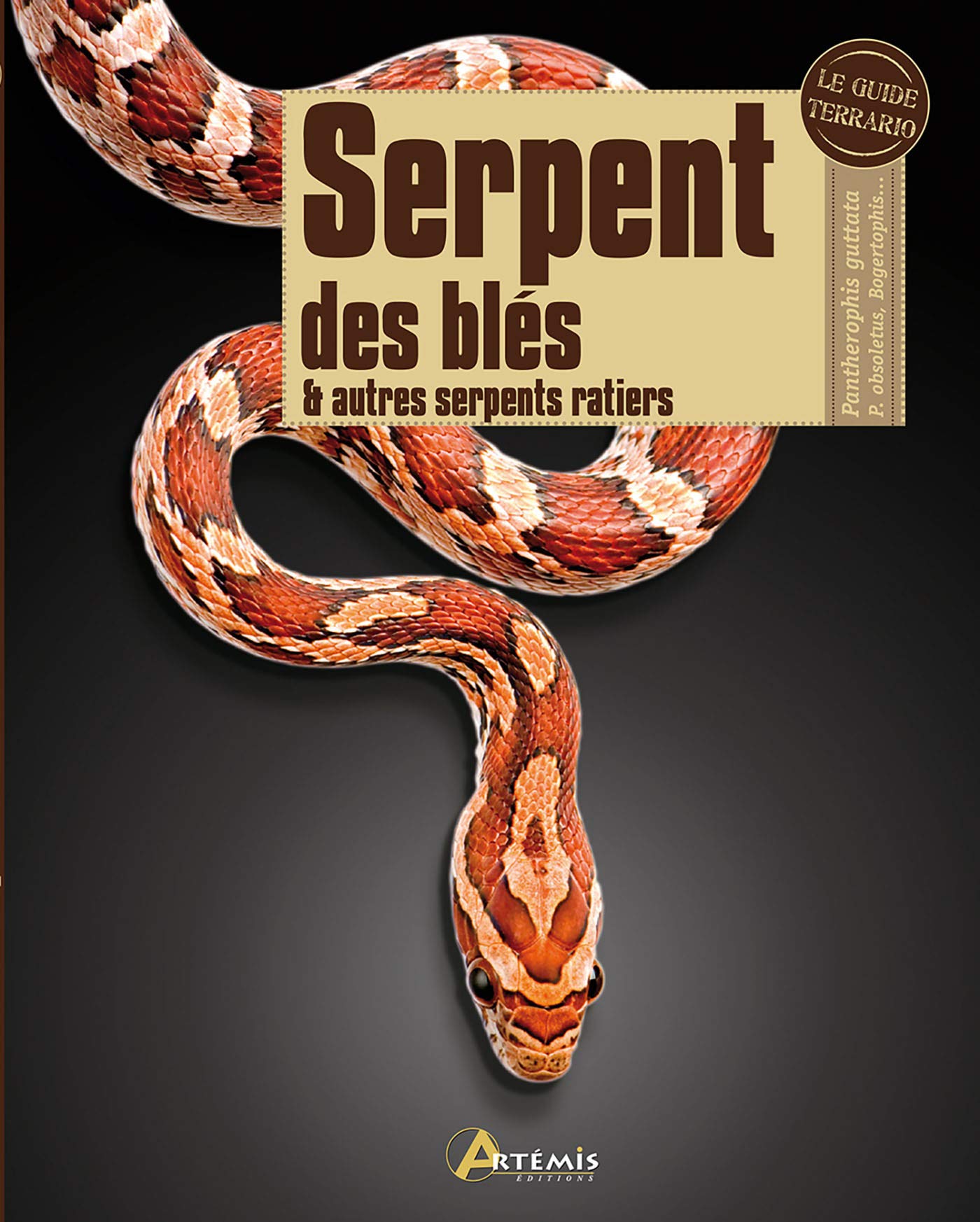 Serpent des blés et autres serpents ratiers Leisure, Home & Garden