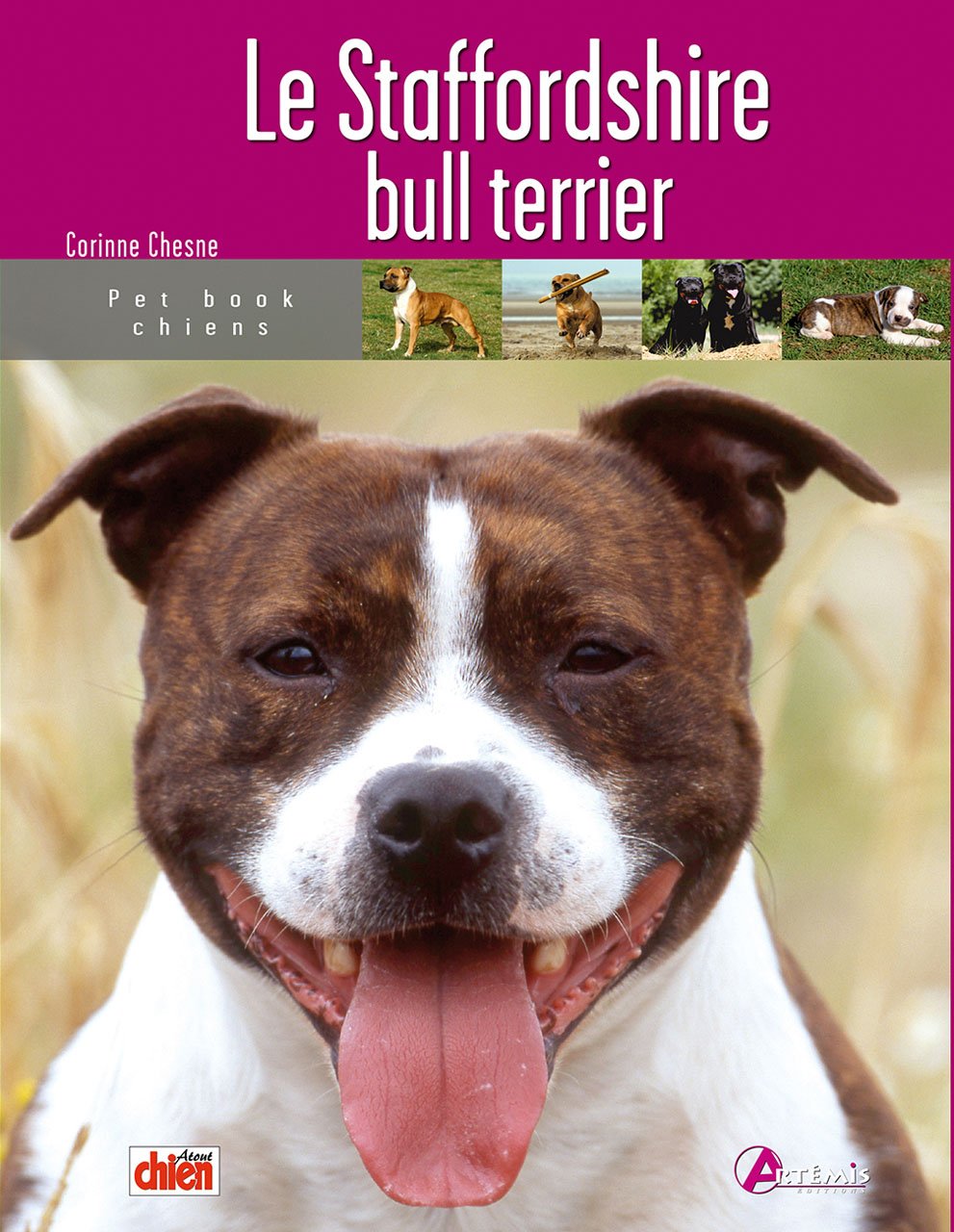 staffordshire bull terrier Leisure, Home & Garden
