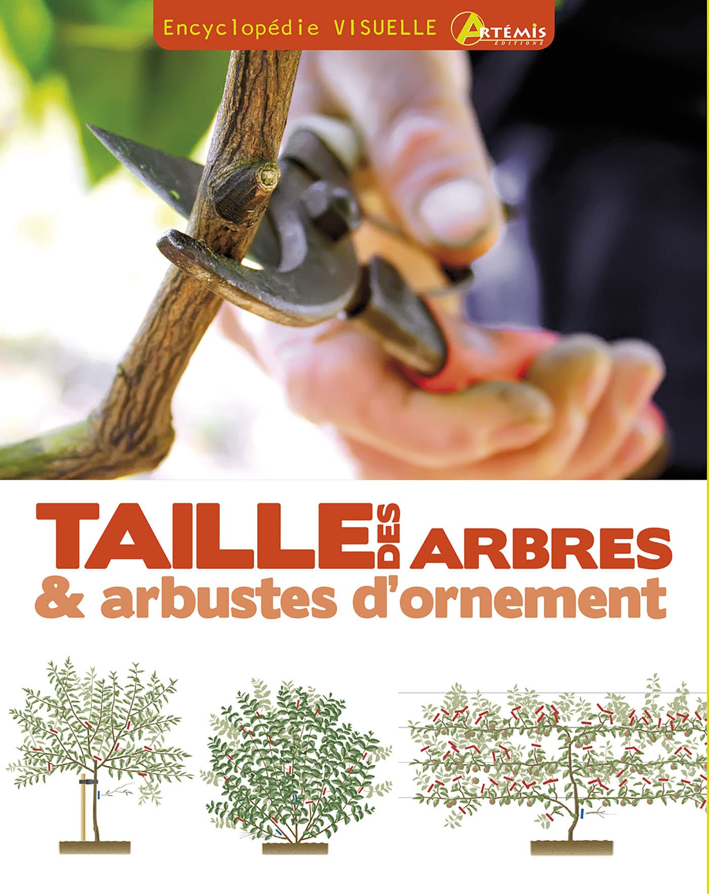 Taille des arbres et des arbustes d'ornement book