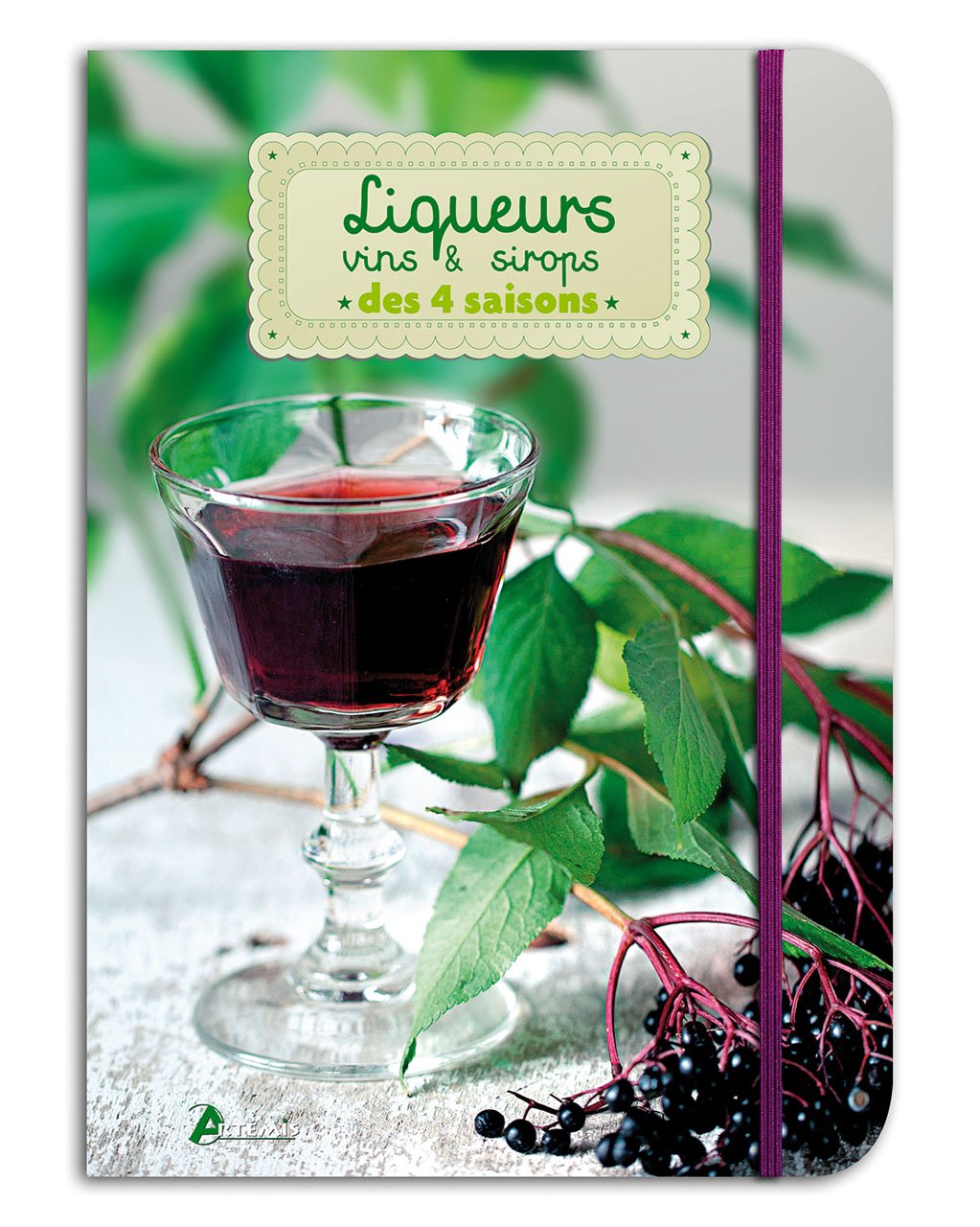 LIQUEURS, VINS ET SIROPS DES QUATRE SAISONS book
