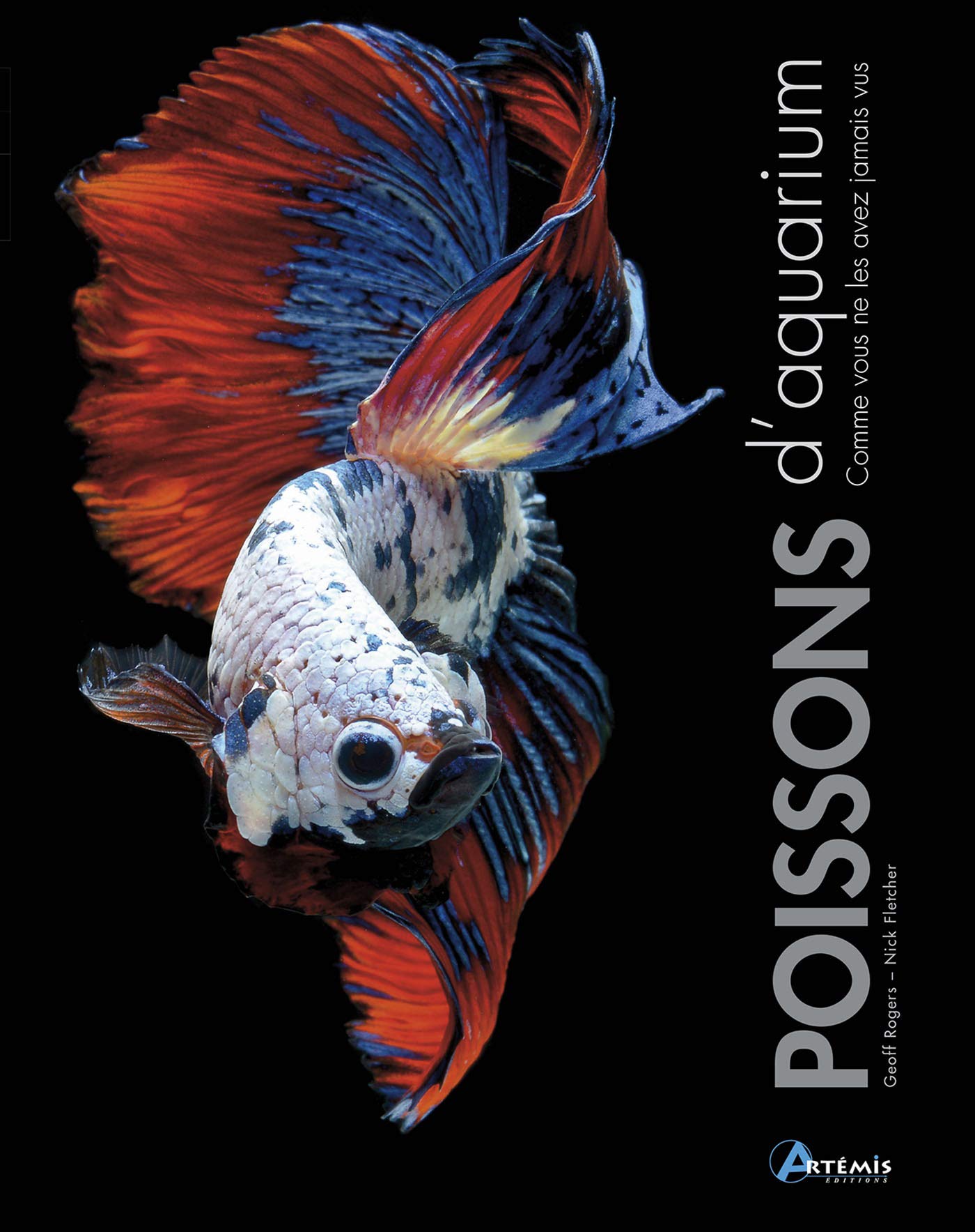 Les poissons d'aquarium comme vous ne les avez jamais vus Leisure, Home & Garden