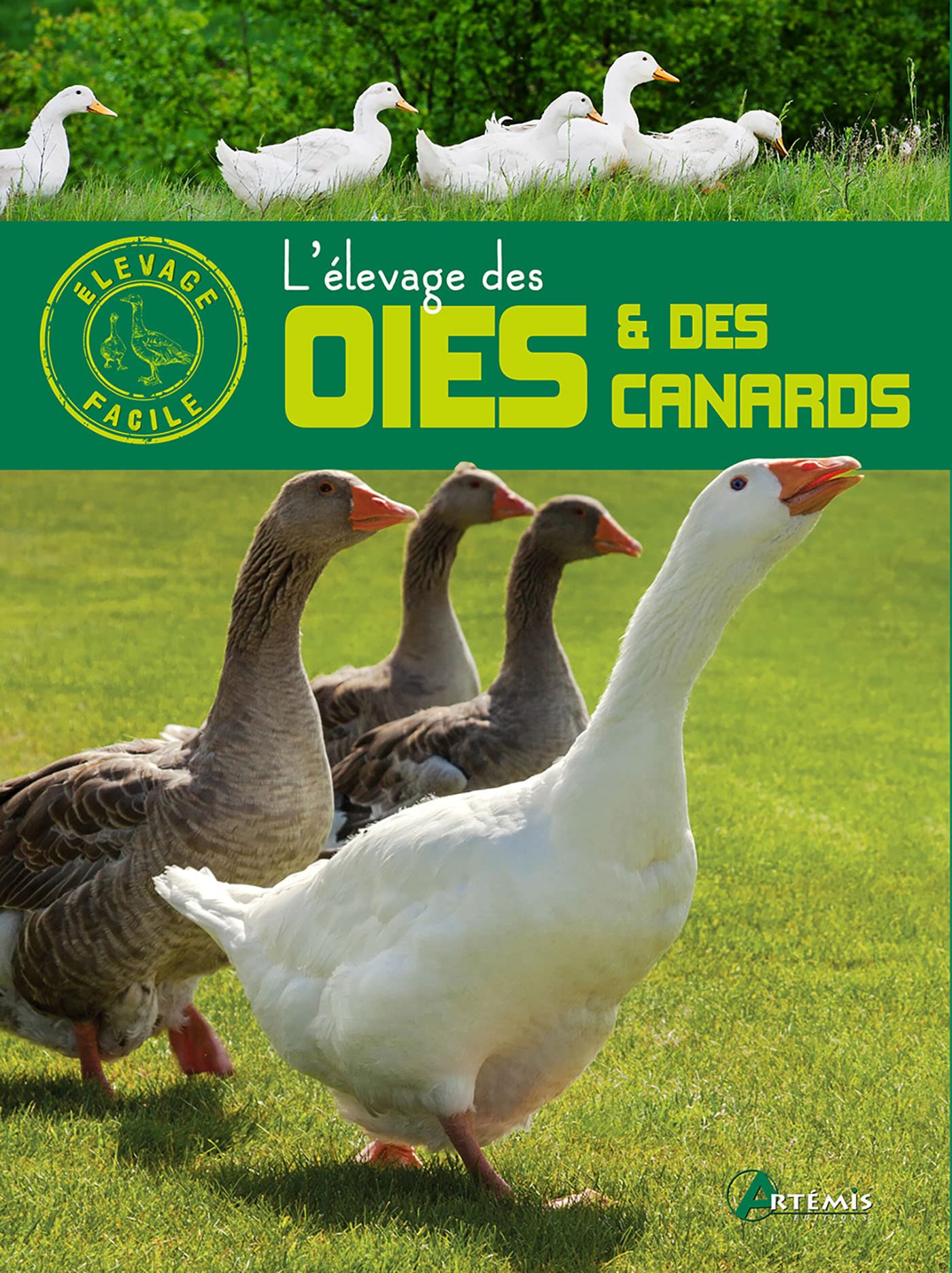 L'élevage des oies et des canards Leisure, Home & Garden