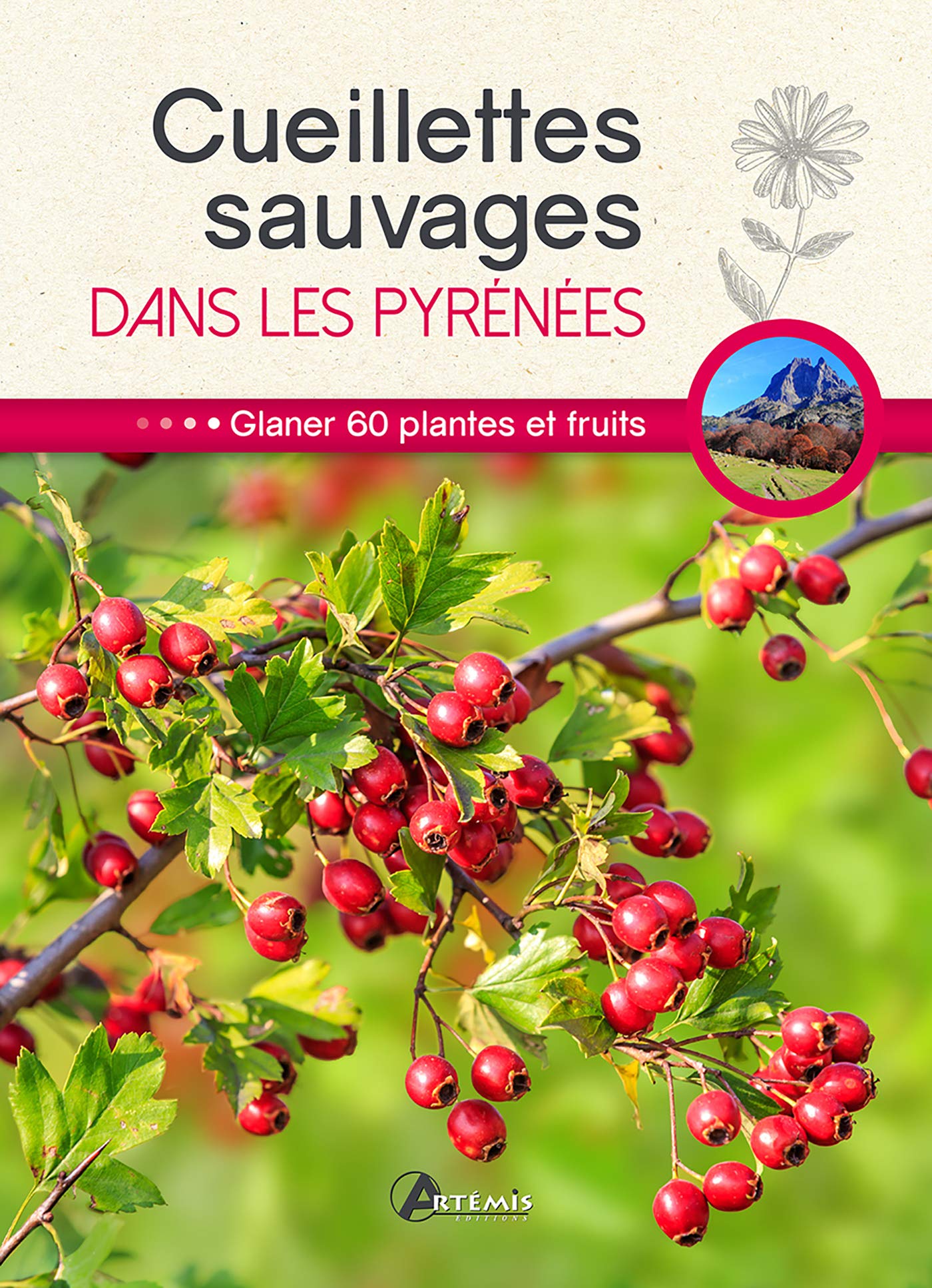 Cueillettes sauvages dans les Pyrénées (0) book