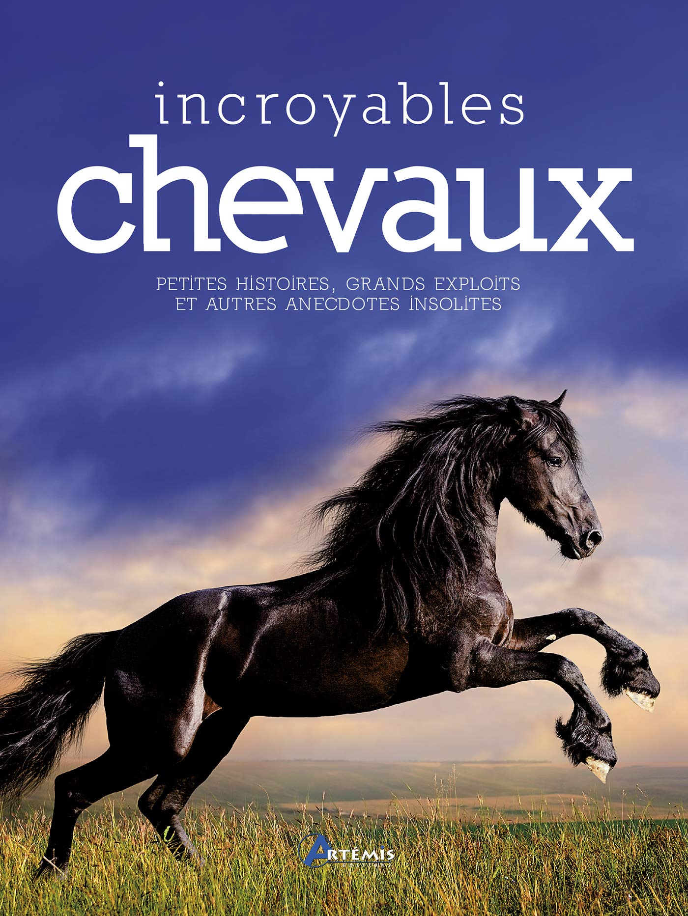 INCROYABLES CHEVAUX: Petites histoires, grands exploits et autres anecdotes insolites Leisure, Home & Garden