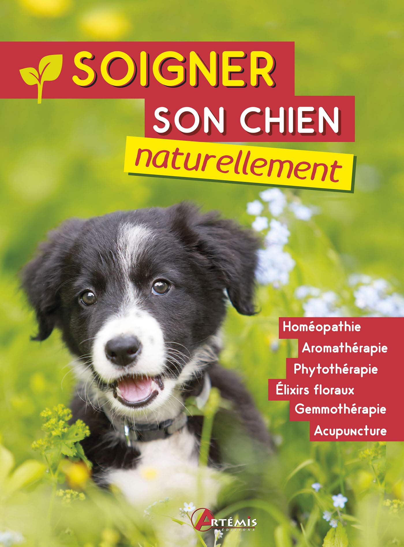 Soigner son chien naturellement book