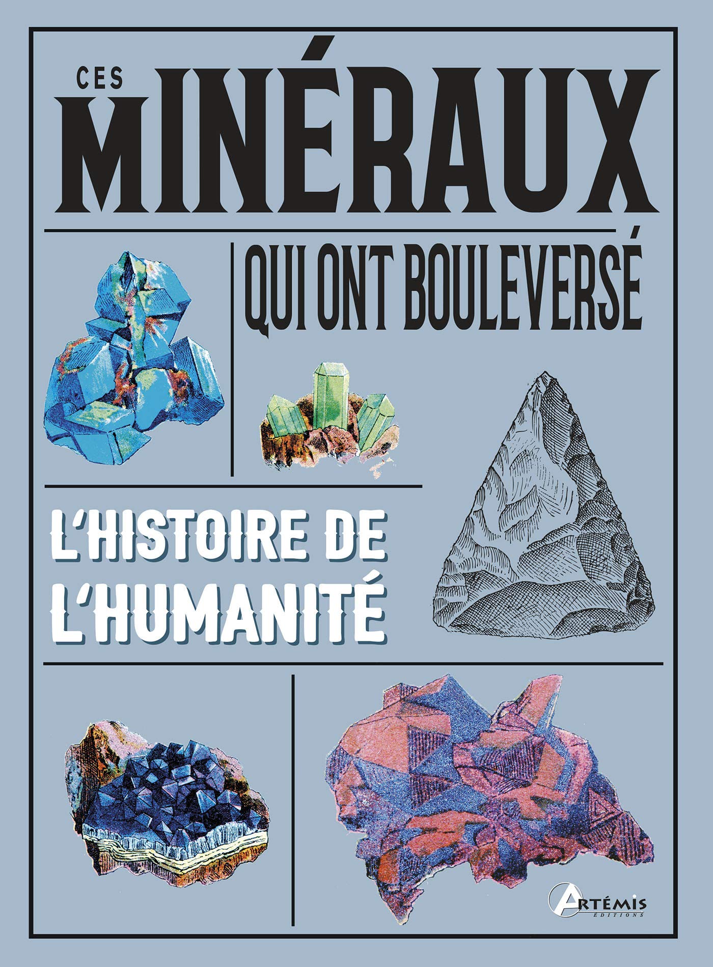 Ces minéraux qui ont bouleversé l'histoire de l'humanité book