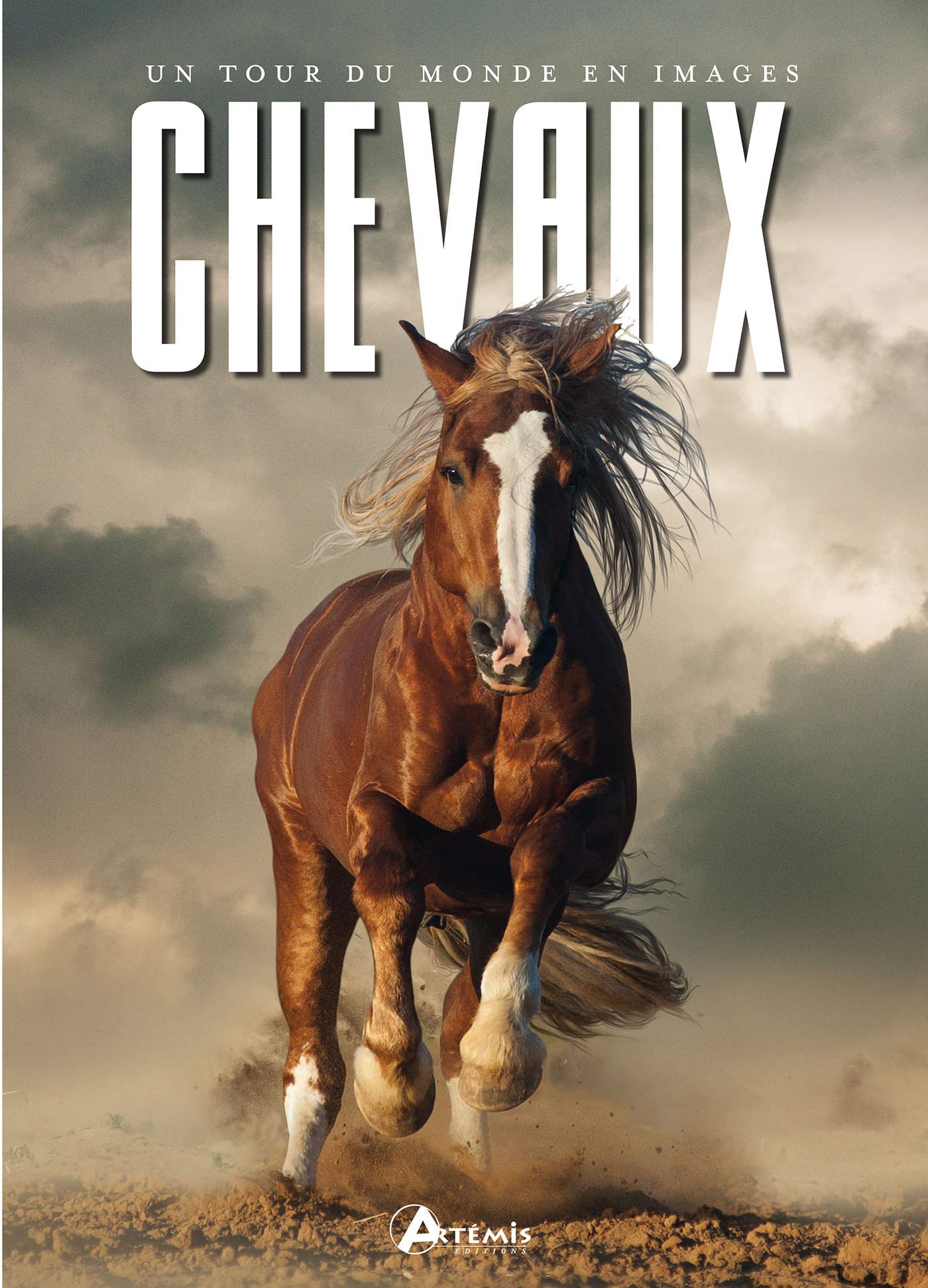 Chevaux, un tour du monde en images book