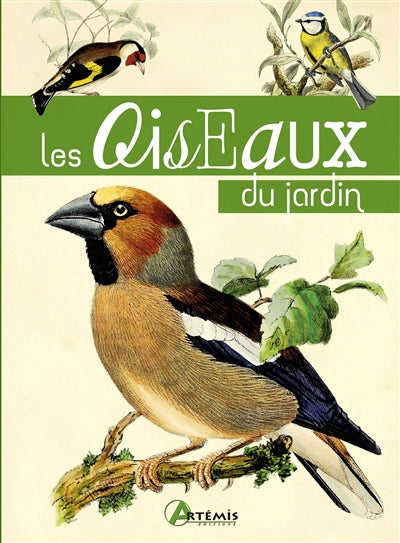 Product Image: Les oiseaux du jardin