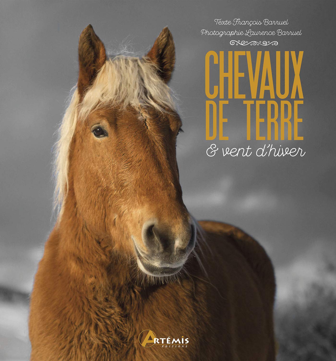 Chevaux de terre et vent d'hiver book