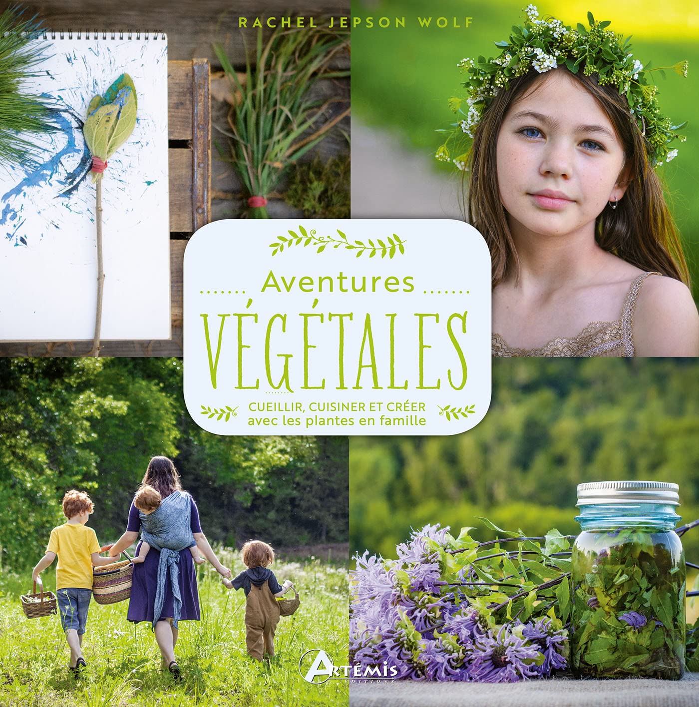 Aventures végétales: cueillir, cuisiner, créer avec les plantes book