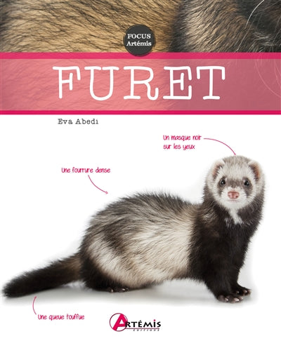 Product Image: Furet
