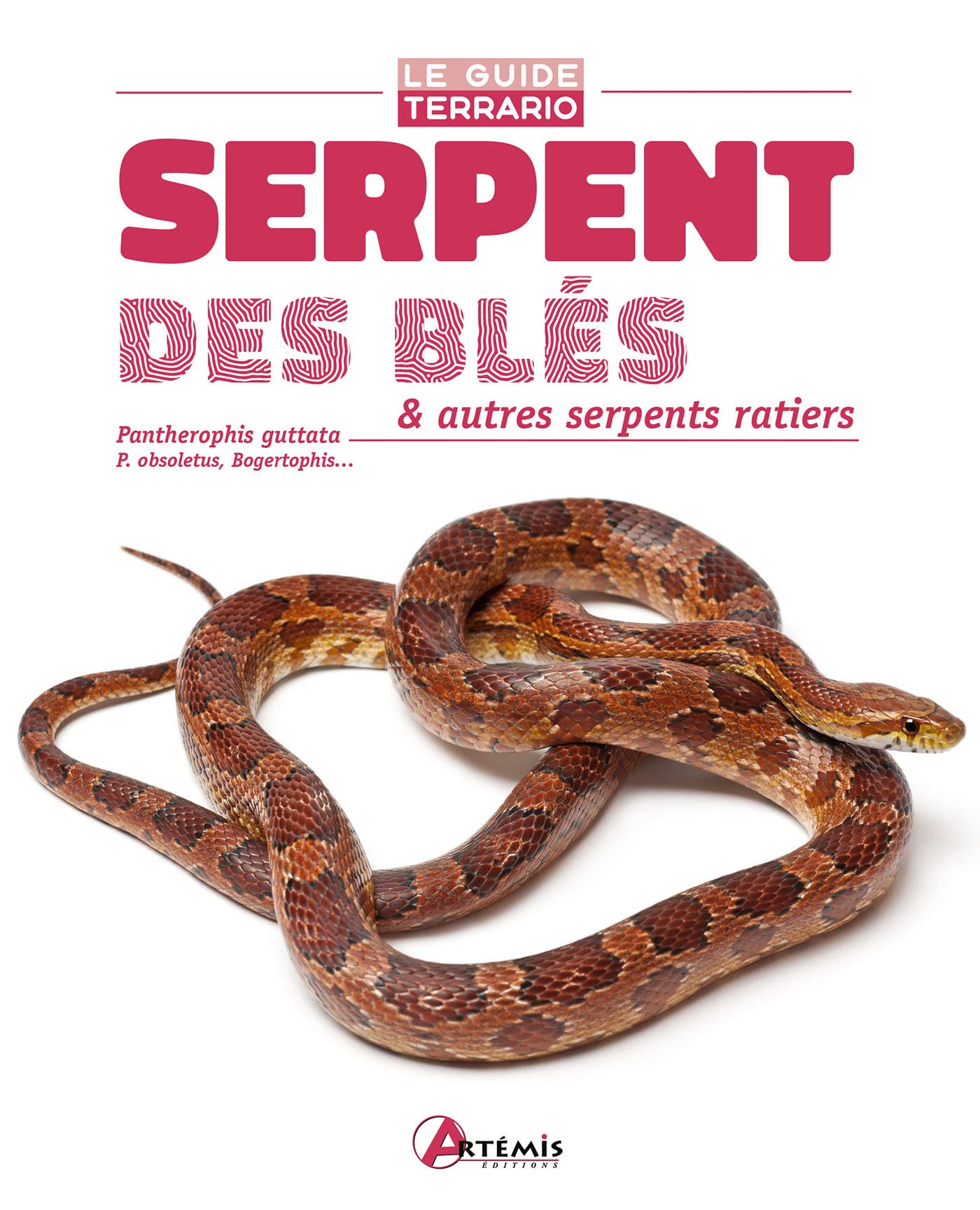 Serpent des blés & autres serpents ratiers book