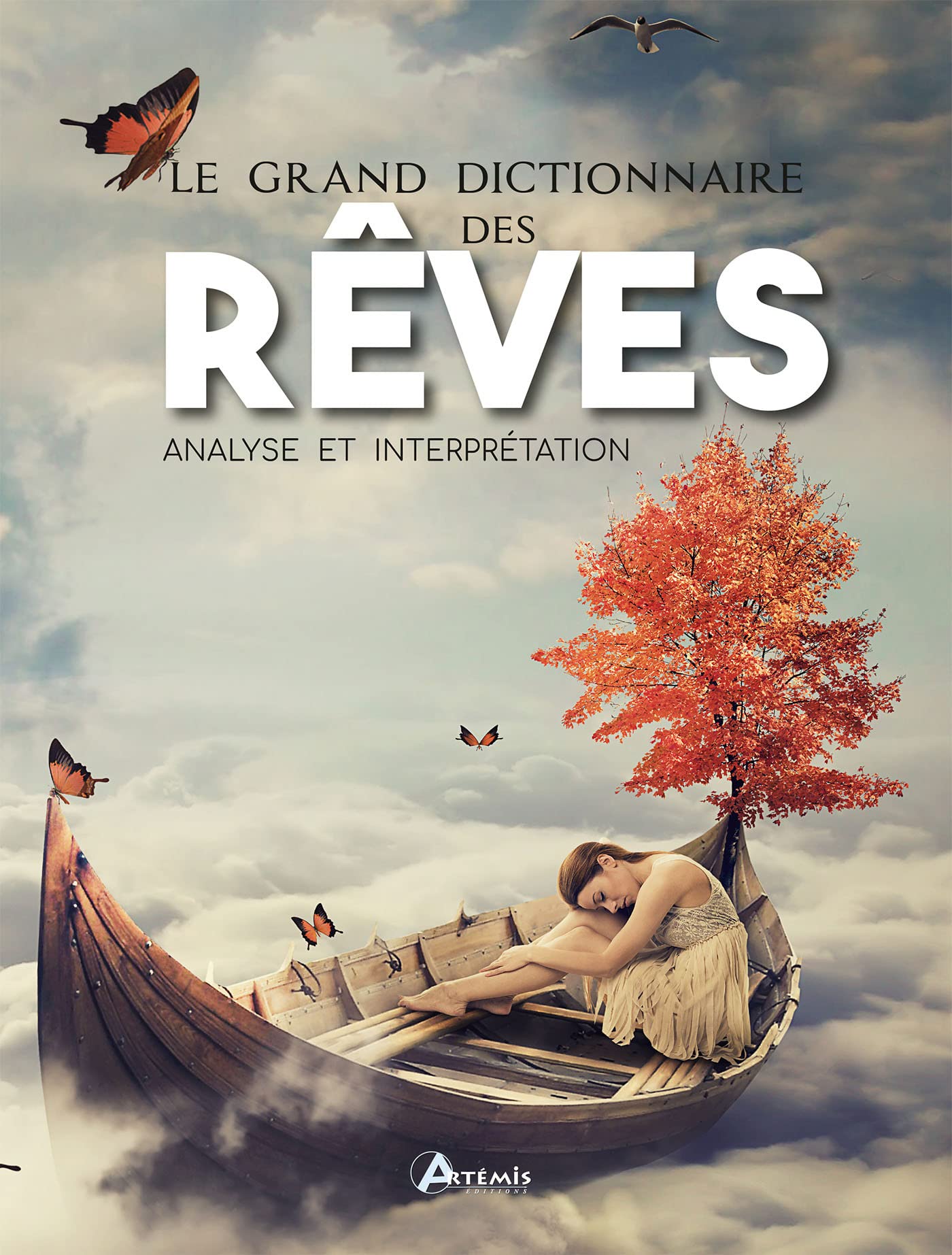 Grand dictionnaire des rêves book
