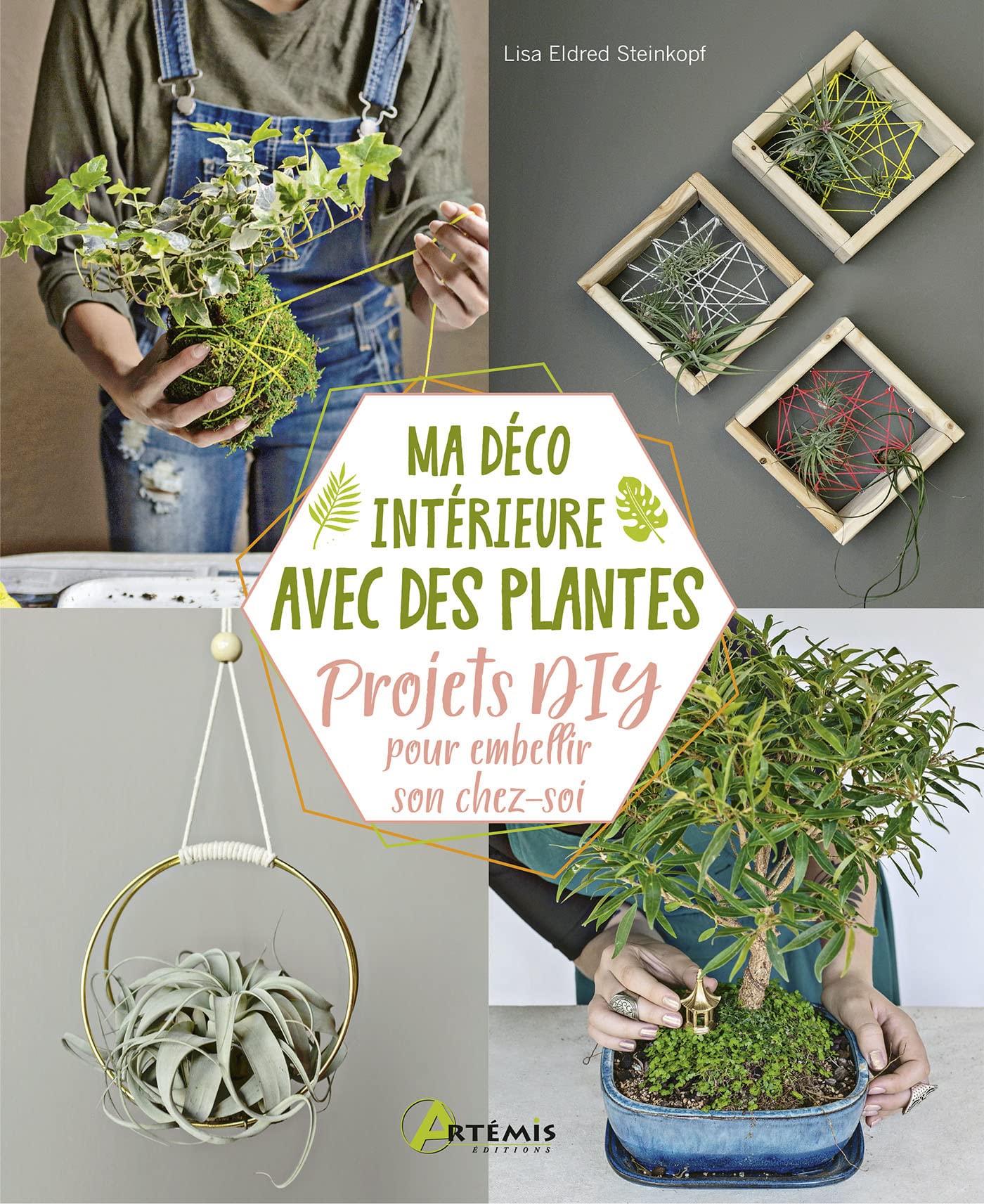 Ma déco intérieure avec des plantes: Projets DIY pour embellir son chez-soi book