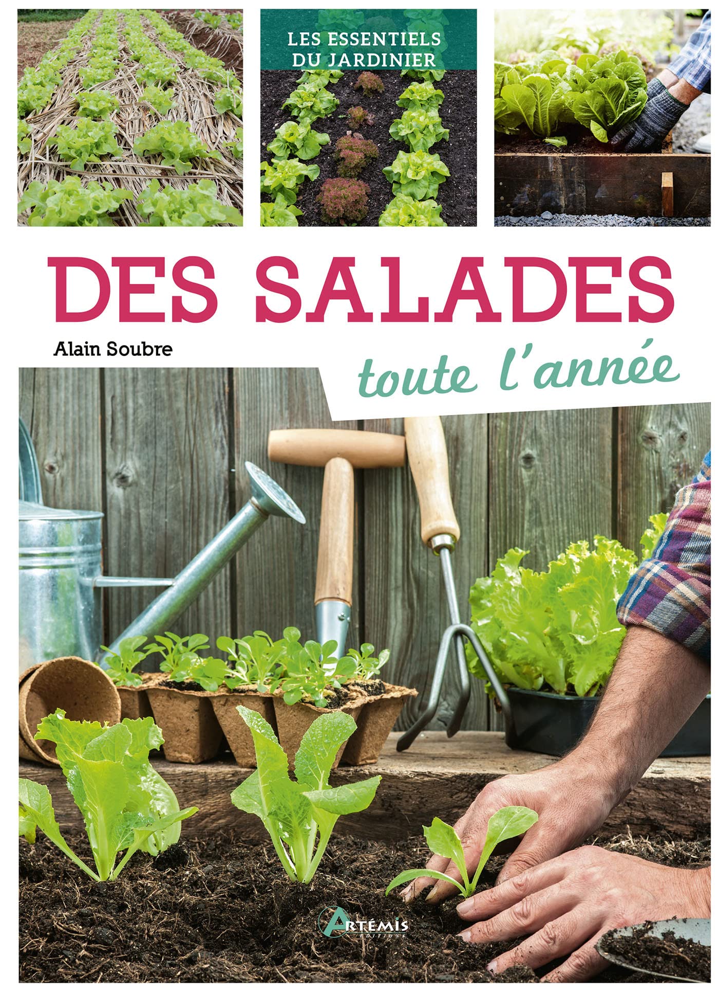 Salades toute l'année (Des) Garden & Plants