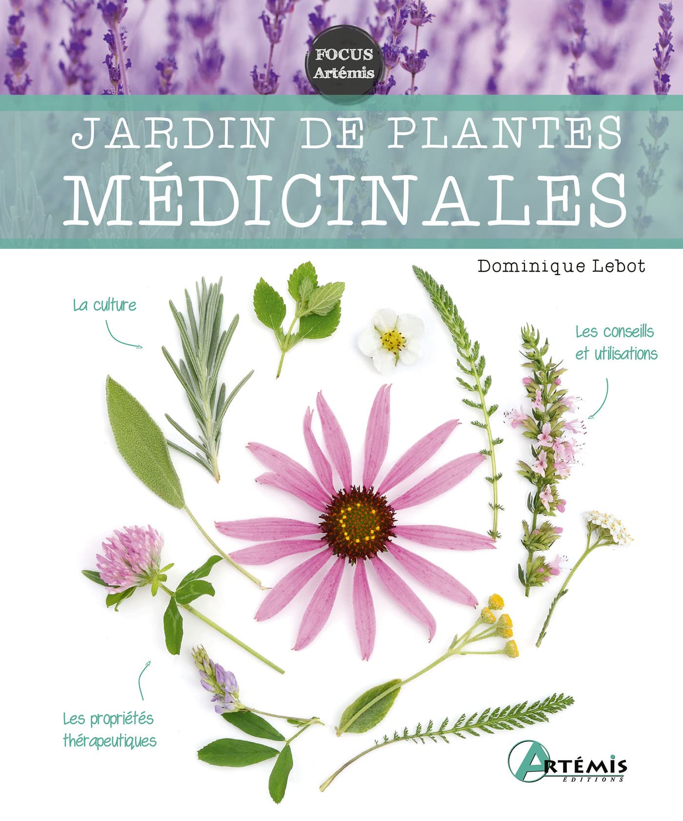 Jardin de plantes médicinales Religion & Esotericism