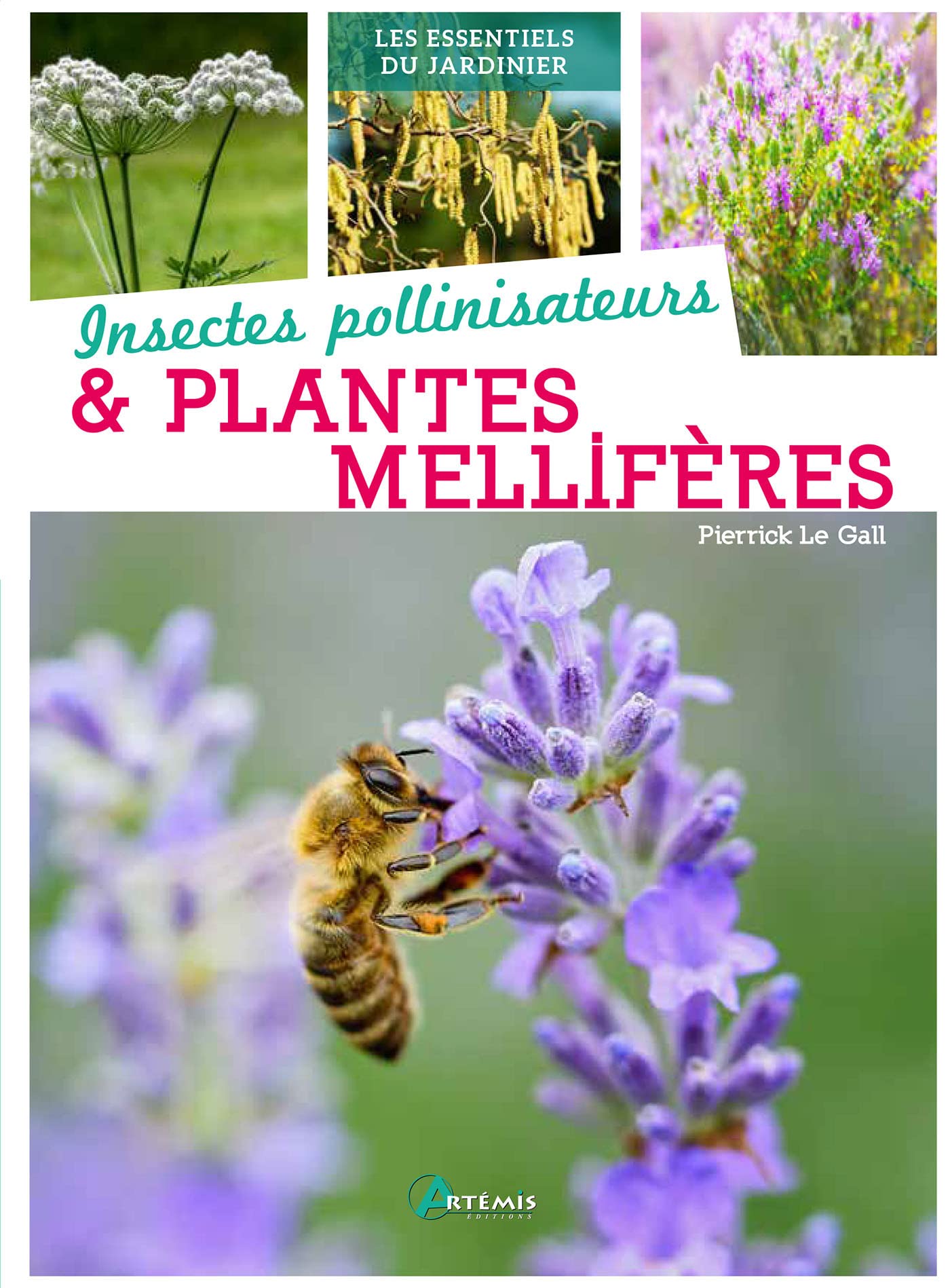 Insectes pollinisateurs et plantes mellifères book