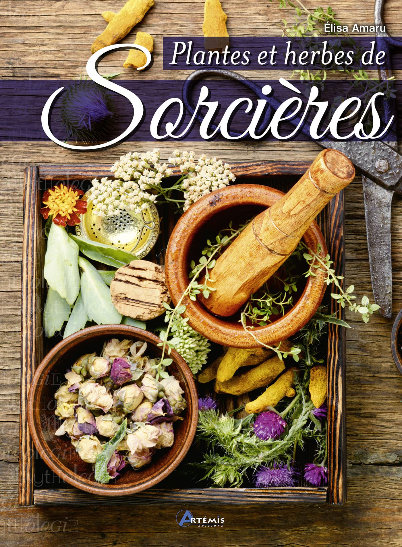 Plantes et herbes de sorcières book