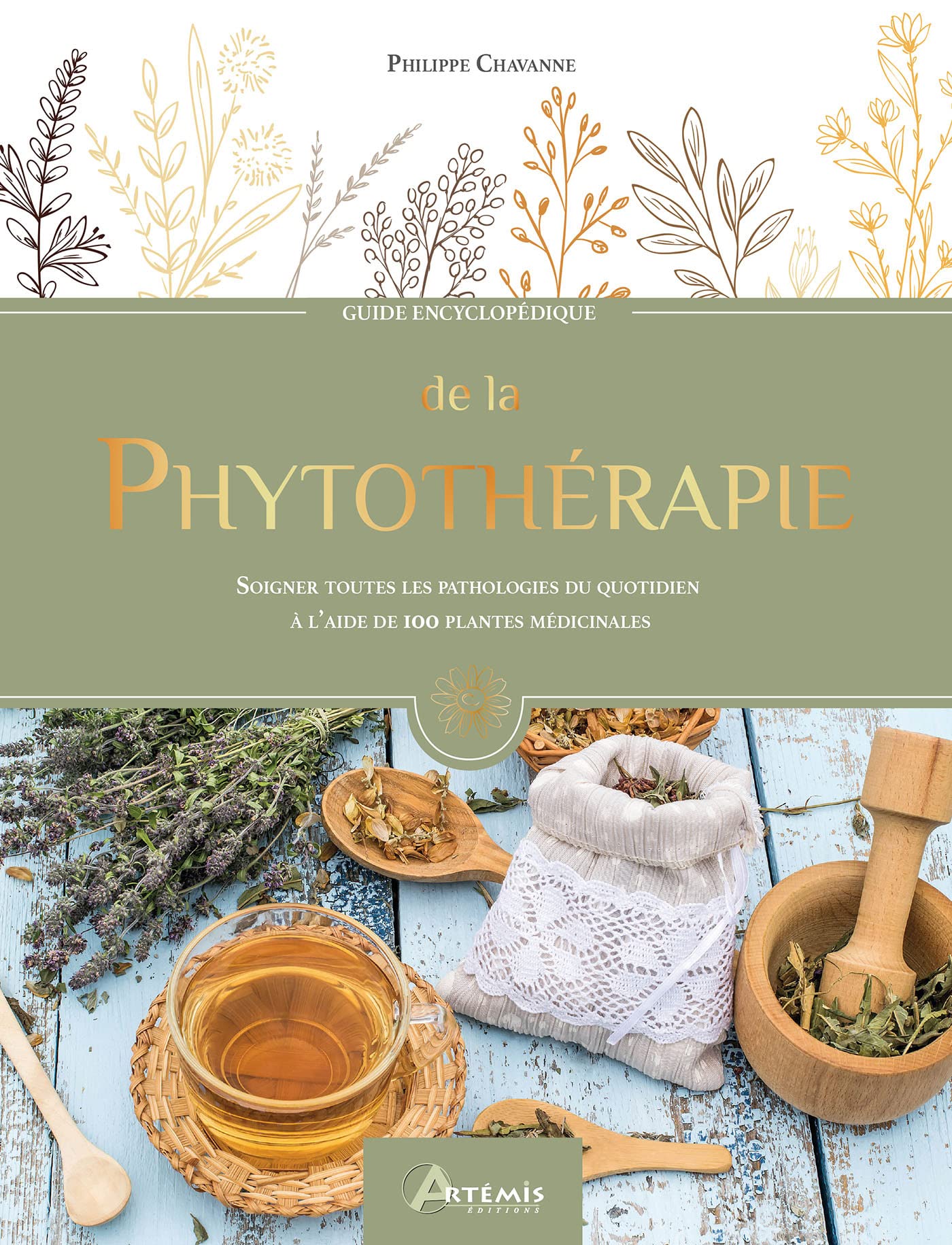 La phytothérapie: Soigner toutes les pathologies du quotidien à l'aide de 100 plantes médicinales Health, Nutrition & Fitness