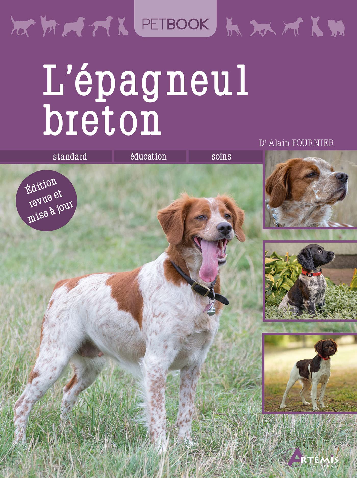 Epagneul breton: 0 Pets
