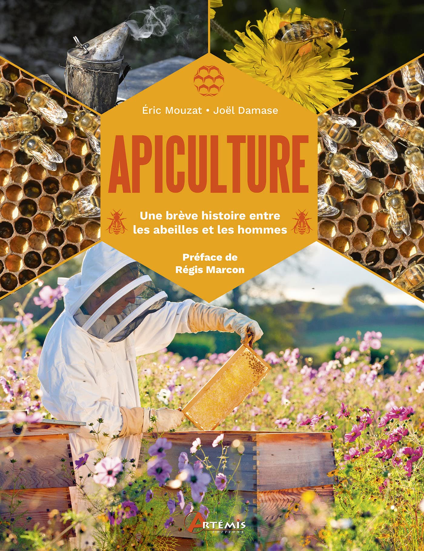 Apiculture: Une brève histoire entre les abeilles et les hommes book