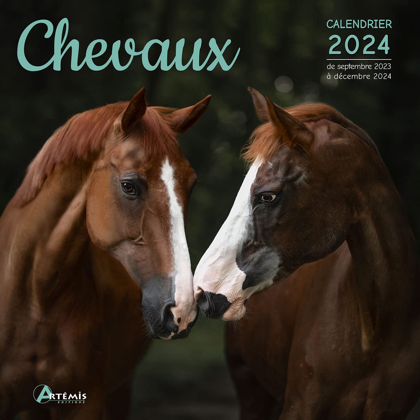 Calendrier Chevaux 2024: Calendrier de septembre 2023 à décembre 2024 Leisure & Fun