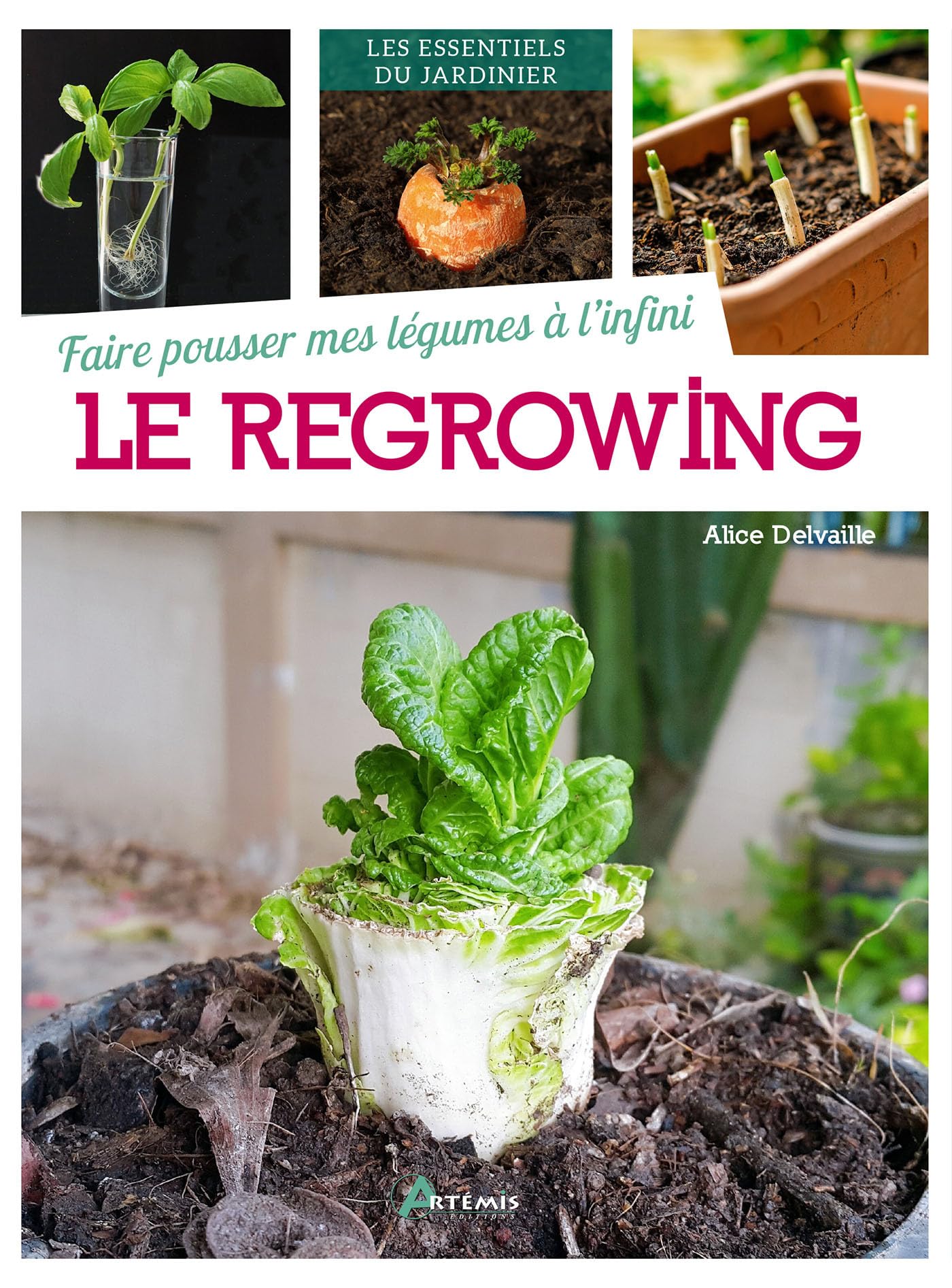Faire pousser mes légumes à l'infini : le regrowing book