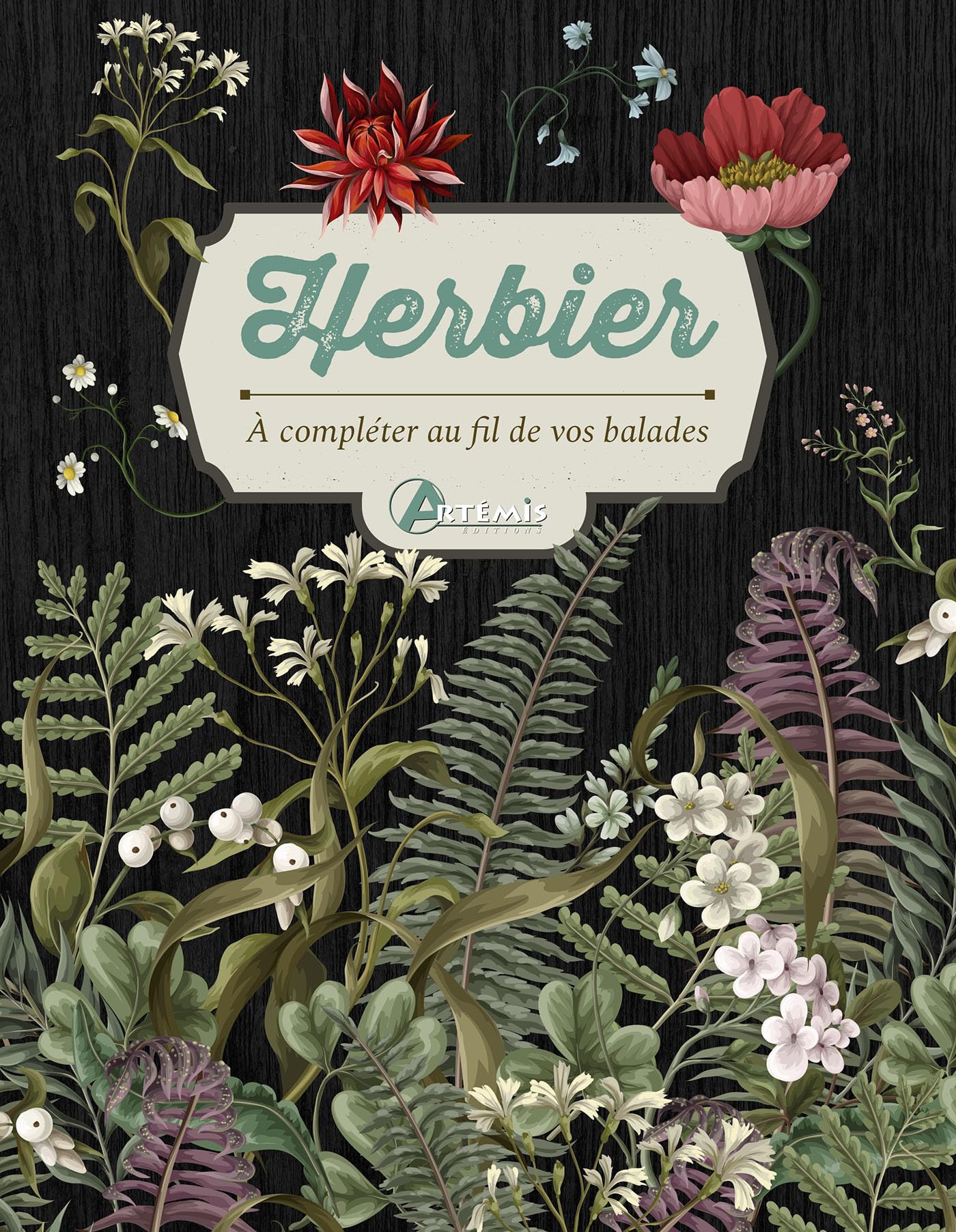 Herbier: à compléter au fil de vos balades Leisure, Home & Garden