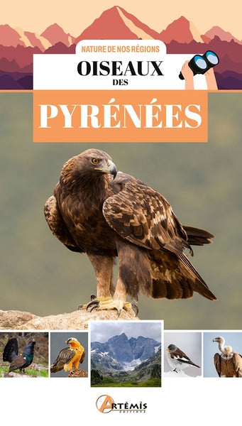 Product Image: Oiseaux des Pyrénées