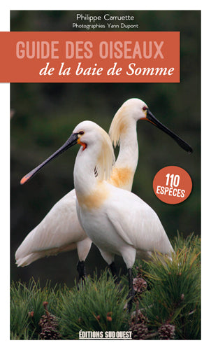 Guide des oiseaux de la baie de Somme : 110 espèces à découvrir, où les observer book