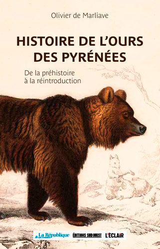 Histoire de l'ours des Pyrénées : de la préhistoire à la réintroduction book