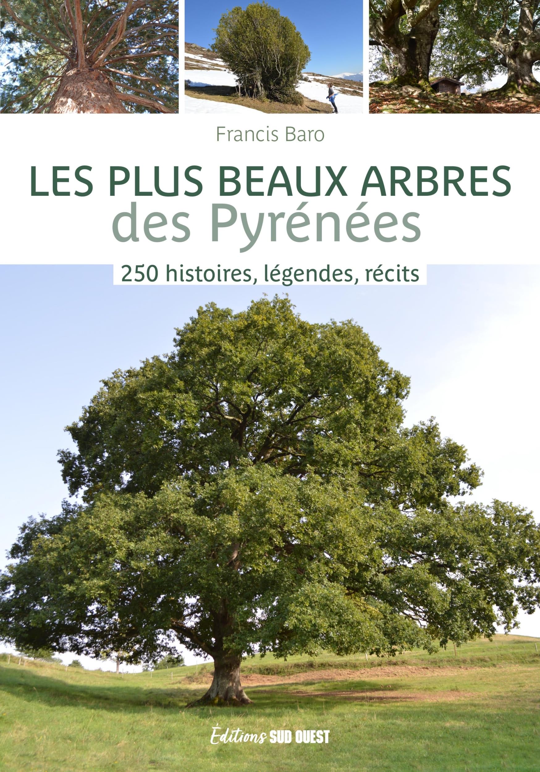Les plus beaux arbres des Pyrénées: 250 histoires, légendes, récits book