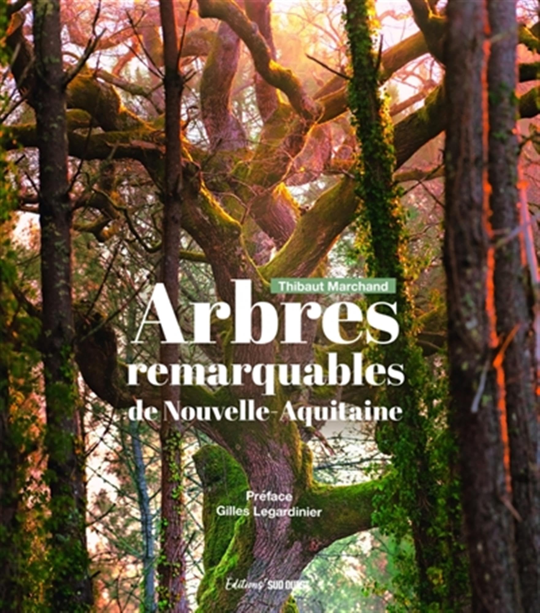 Arbres remarquables de Nouvelle-Aquitaine book