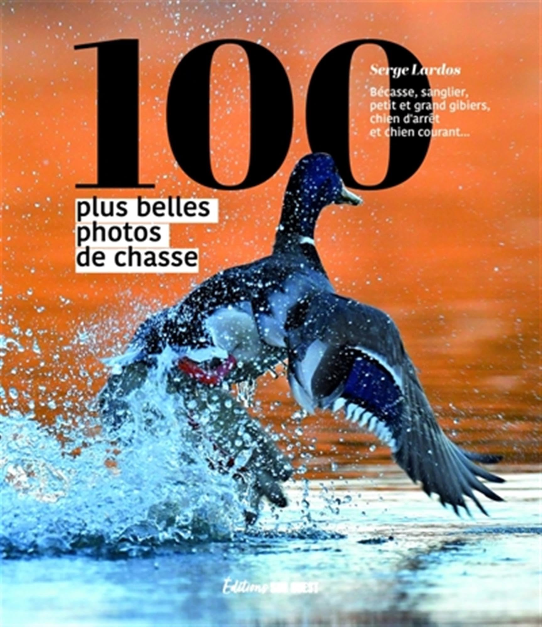 Les 100 plus belles photos de chasse: Bécasse, sanglier, petit et grand gibiers, chien d'arrêt et chien courant... book