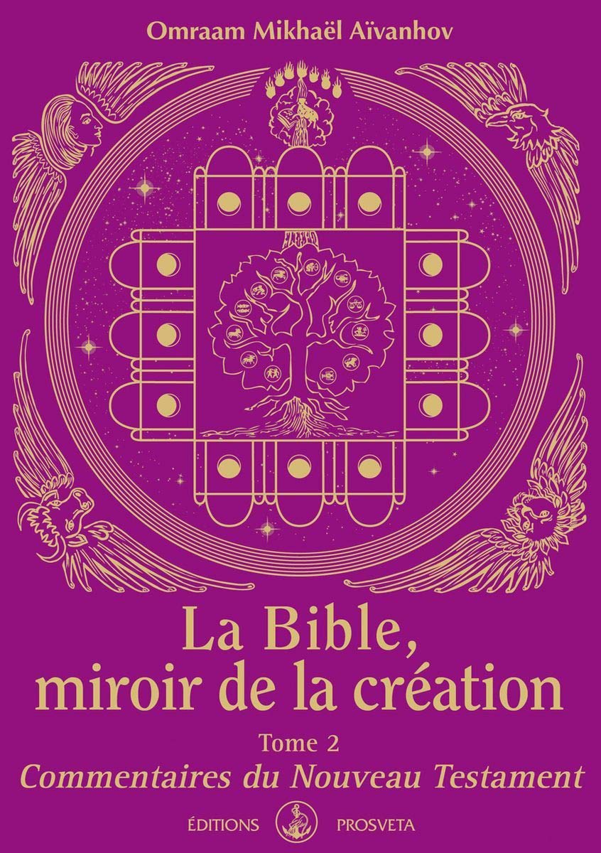 La Bible, miroir de la création : Tome 2 - Commentaires du NouveauTestament book