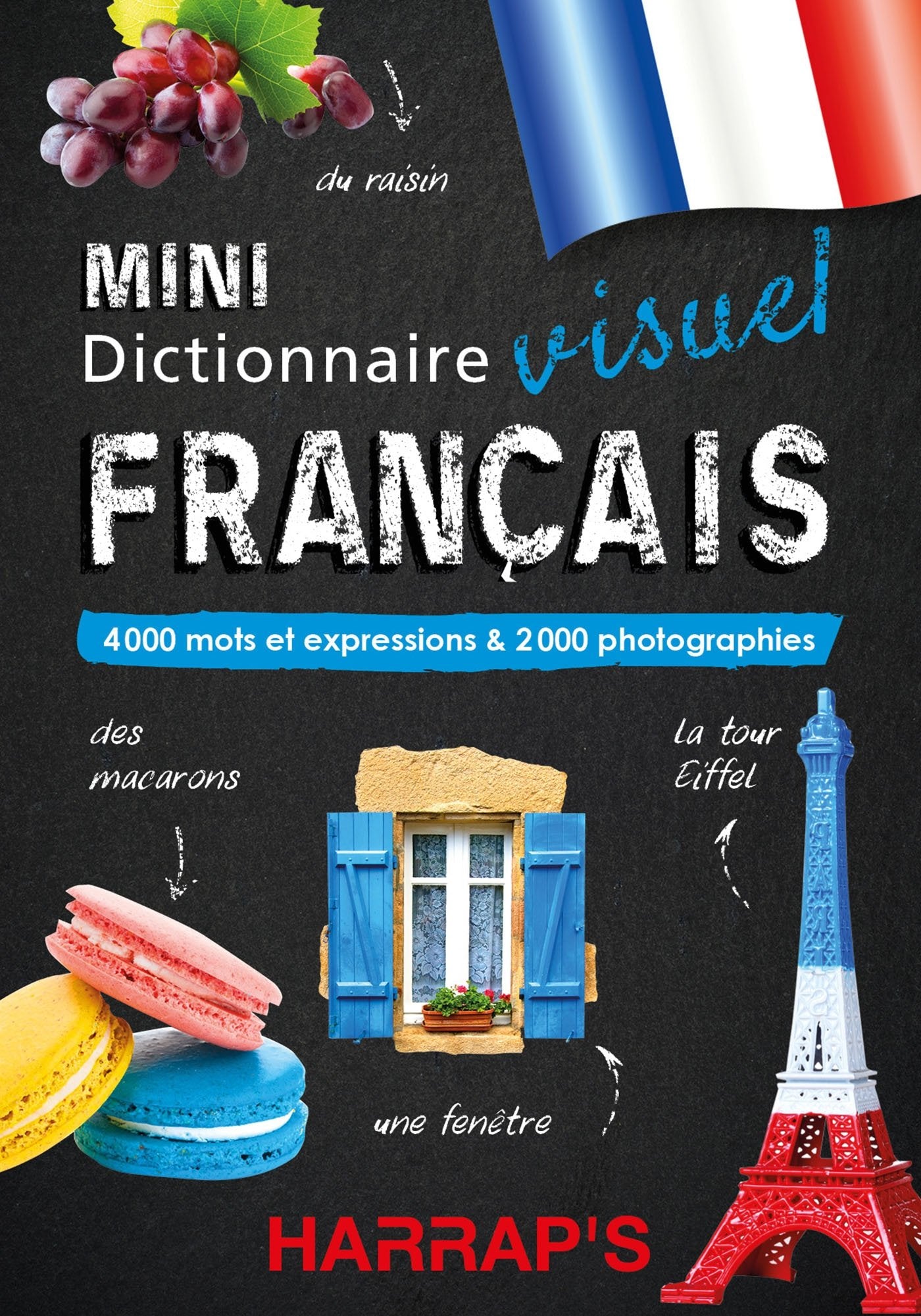 Harrap's Mini dictionnaire visuel Français: 4000 mots et expressions & 2000 photographies Foreign Languages ​​& Dictionaries
