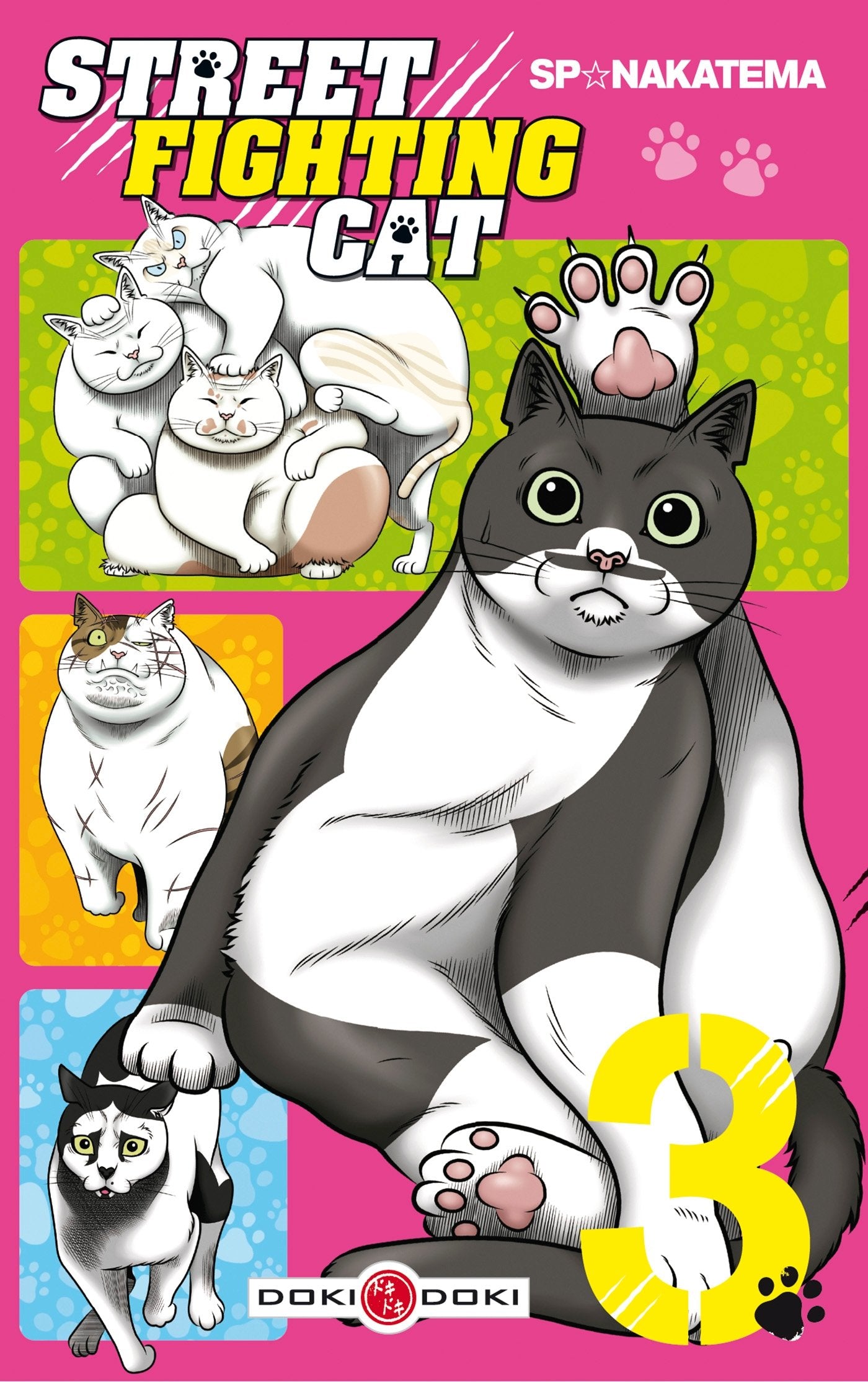 Street Fighting Cat - vol. 03 book