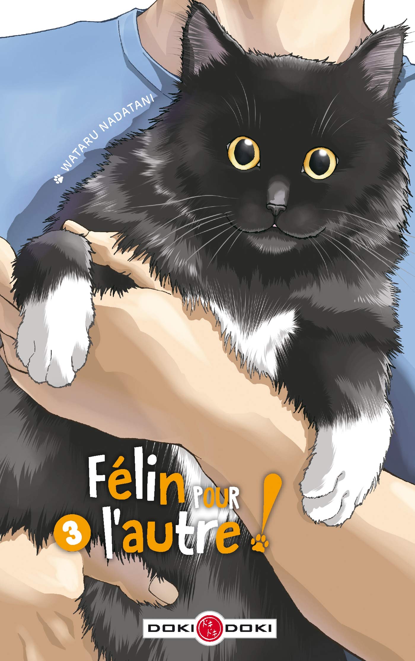 Félin pour l'autre ! - vol. 03 Manga