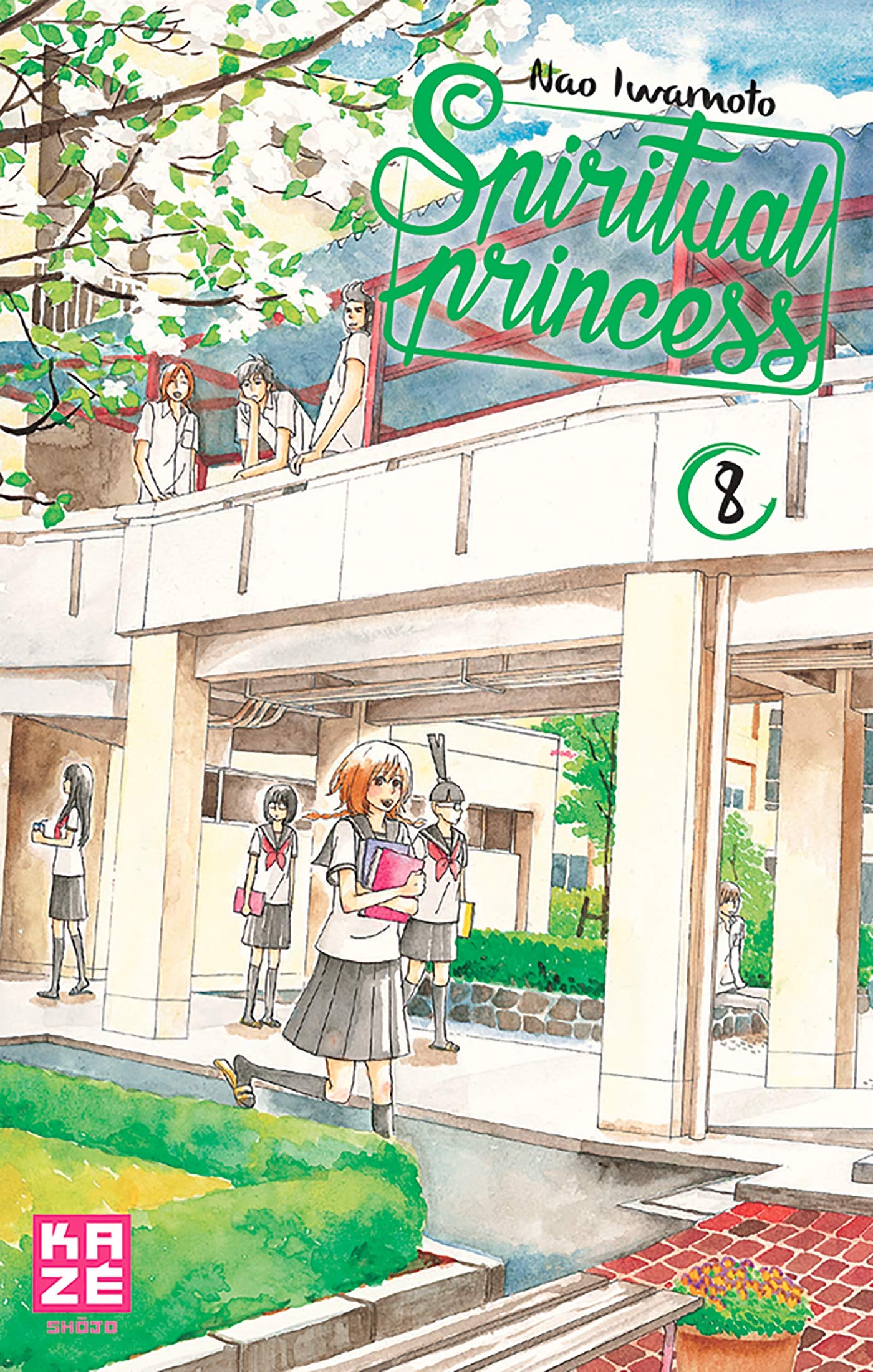 Spiritual Princess T08 book