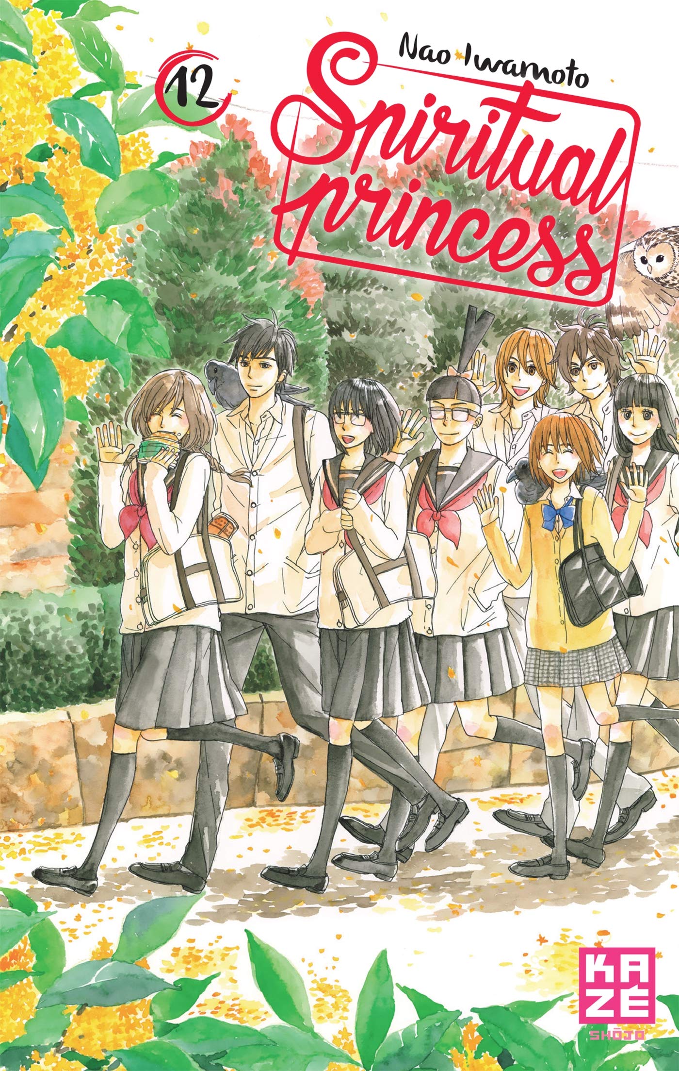 Spiritual Princess T12 (Fin) book