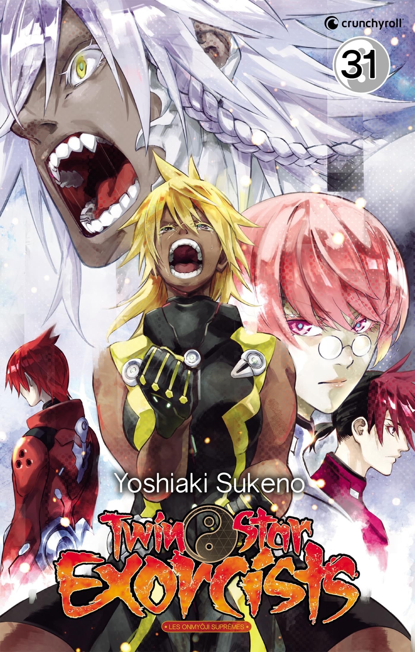 TWIN STAR EXORCISTS T31 book