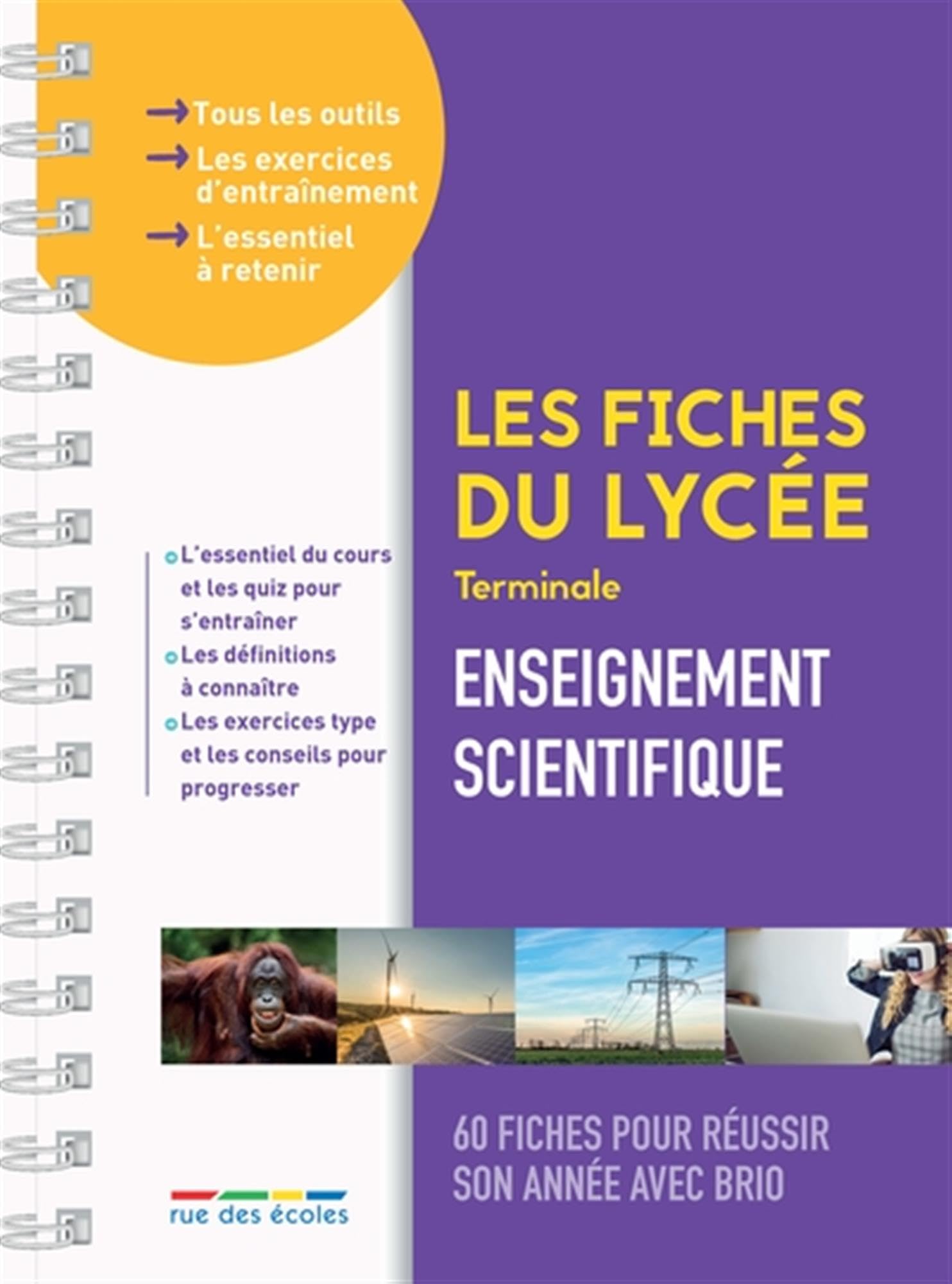 Les fiches du lycée - Terminale - Enseignement scientifique book