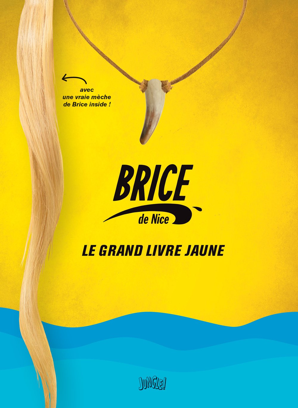 Brice de Nice, le grand livre jaune Books
