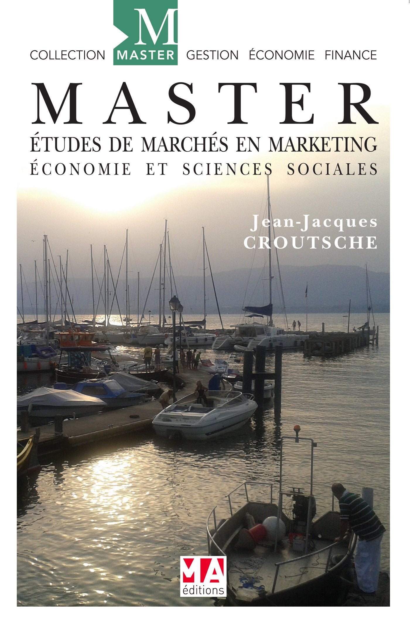 Master Etudes de marchés en marketing, économie et sciences sociales book