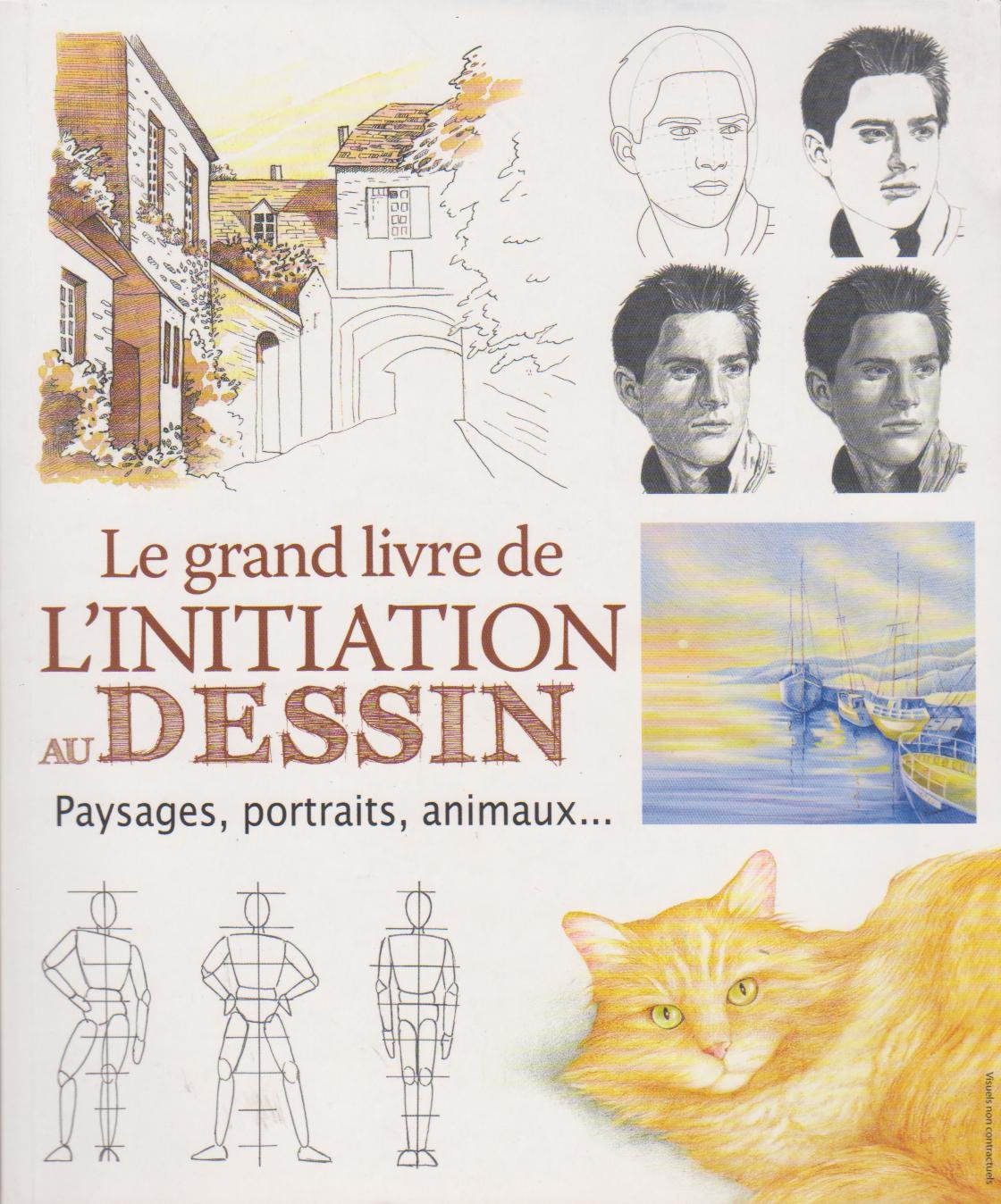 grand livre de l initiation au dessin * (0): Paysages, portraits, animaux... Leisure, Home & Garden