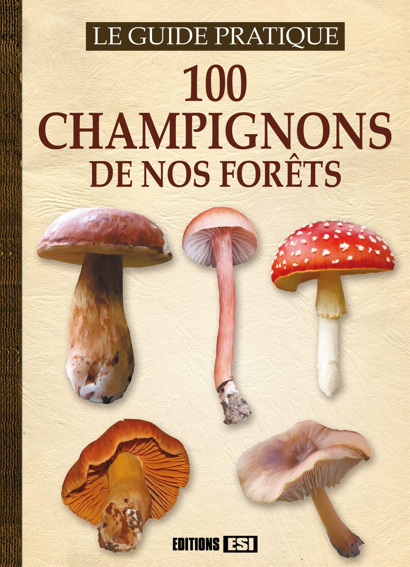 100 CHAMPIGNONS DE NOS FORETS (0) book