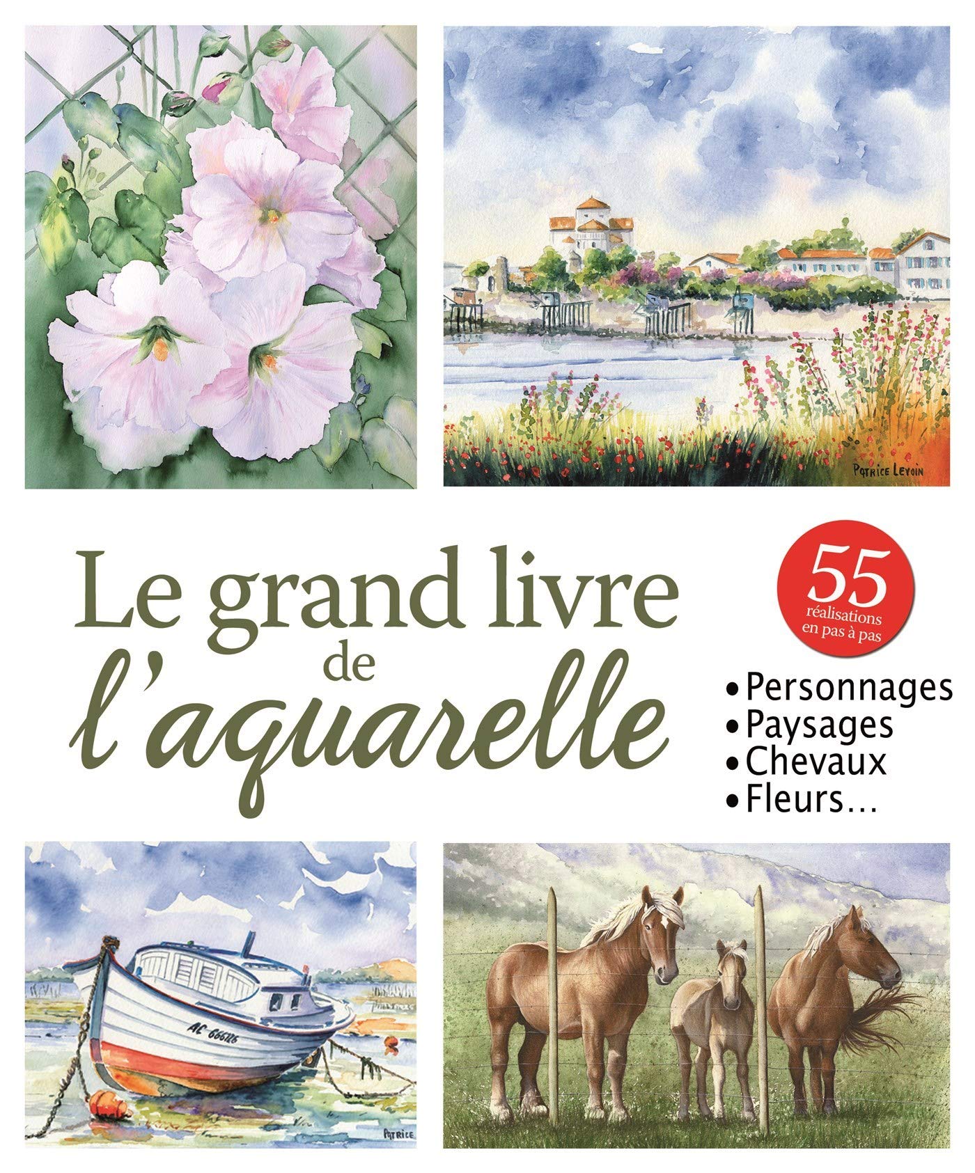 Le grand livre de l'aquarelle (0) book